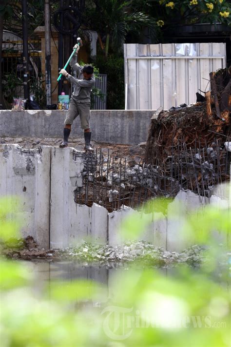 Revitalisasi Anak Kali Ciliwung Cegah Banjir Foto