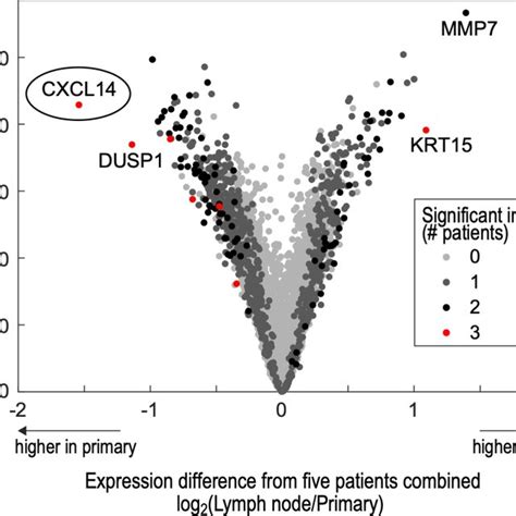 Differential Gene Expression Between Primary Tumors And Lymph Nodes