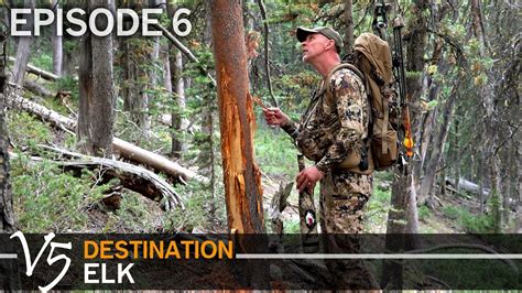 Wallows Rubs And Bugling Bulls Episode Destination Elk V Youtube