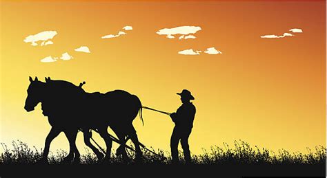 Silhouette Of Plow Horse Illustrations Royalty Free Vector Graphics