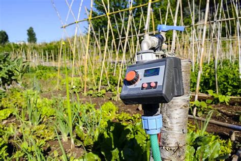 Cómo elegir un programador de riego automático Cosas del Jardin