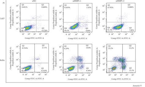 Mmp1 Knockdown Inhibits Cell Proliferation And Migration And Invasion Download Scientific