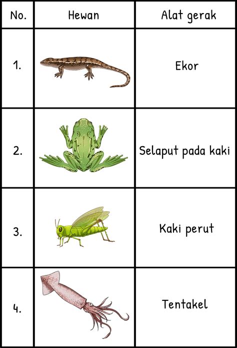 Rangka Hewan Vertebrata 53 Koleksi Gambar