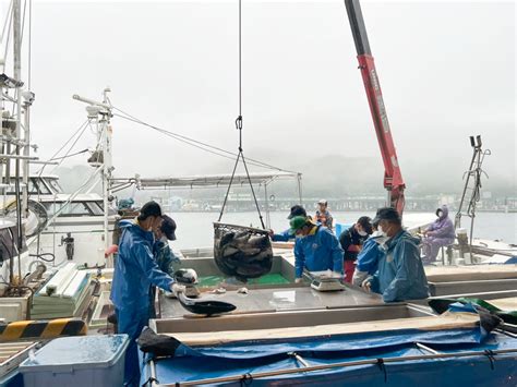 鹿児島の養殖ブリ「鰤王」のおいしい食べ方や裏側を聞いてみた ソレドコ