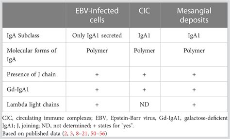 Frontiers Iga Nephropathy Pleiotropic Impact Of Epstein Barr Virus