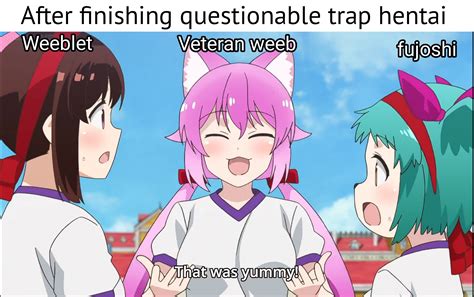 You Watch Hentai I Read Hentai We Are Not The Same R Animemes