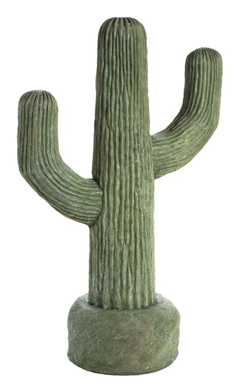 Large Cactus