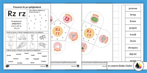 Pisownia RZ po spółgłoskach Wklejki do lapbooka Ortografia