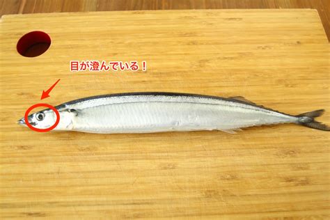 こんなに簡単！美味しいサンマの見分け方と旬を味わう絶品レシピを専門家が伝授 ぐるなび みんなのごはん