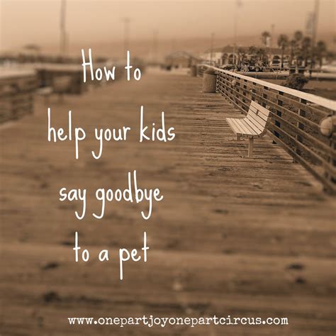 Goodbye Quotes For Pets Quotesgram