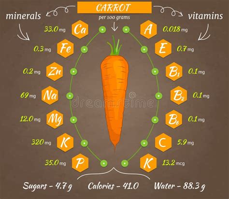 Carrot Nutrition Facts Stock Vector Illustration Of Diet 53688176