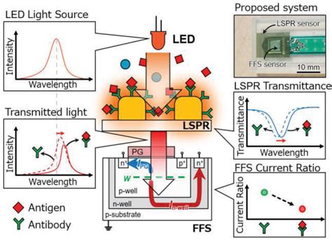 Figure 3 From Compact Lspr Biosensor System For Early Virus Detection