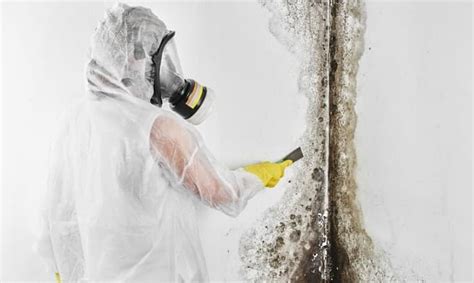 Professional Tips For Bathroom Ceiling Mold Removal