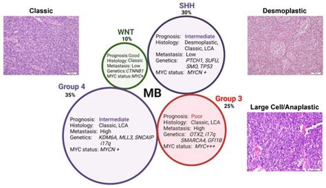 Diagnostics Free Full Text Subgroup Specific Diagnostic Prognostic