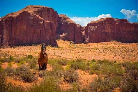 Horse Usa Arizona Monument Valley Desert Wild West Nature Poster Silk