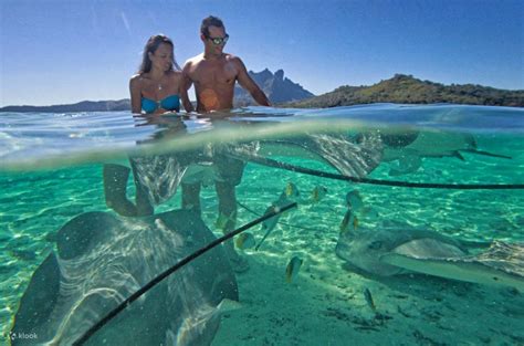 Bora Bora Deluxe Tour - Klook India