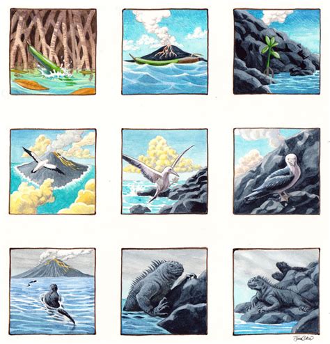 A Seabird Discovers the Island – R. MICHELSON GALLERIES