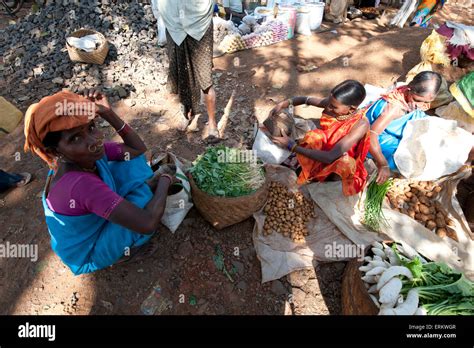 Mali Tribal Woman With Gold Nose Rings Shopping By Bartering System In