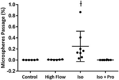 Frontiers Beta Adrenergic Regulation Of Intrapulmonary Arteriovenous