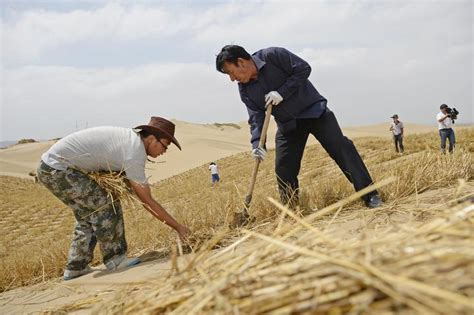 生命不息治沙不止 在“人进沙退”中捍卫“美丽中国”白芨滩宁夏治沙新浪新闻