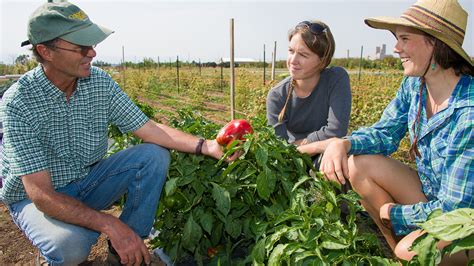 Agricultural Education Major Admissions Colorado State University