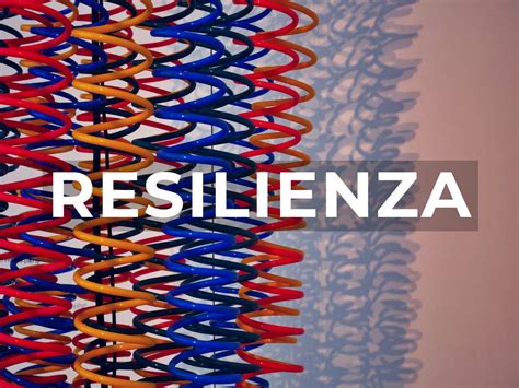 Come Aumentare La Resilienza Della Propria Organizzazione Studio Felli