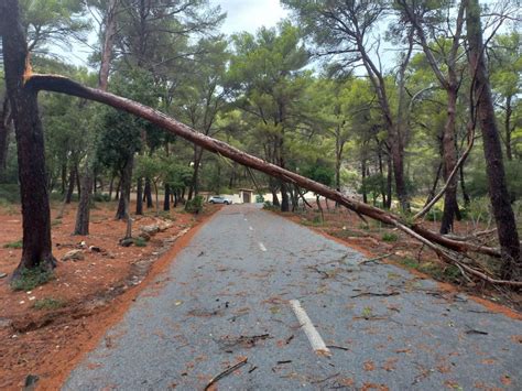 El Consell trabaja para retirar los objetos caídos en la vía y