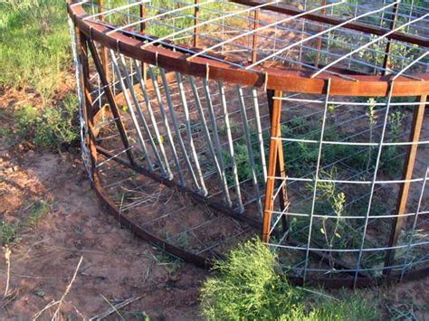 Round Hog Trap Building Plans Hog Trap Hog Hunting Animal Traps