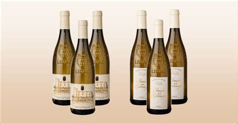 D Couverte Vins Blancs Bouteilles Packvins Blancs Producteur De