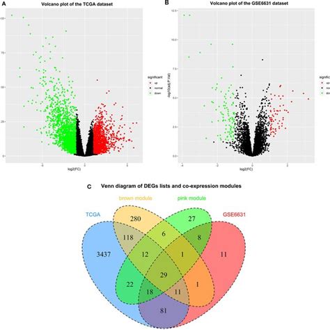 Identification Of Differentially Expressed Genes Degs Among The Tcga