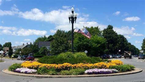 south buffalo alive plans  annual garden  buffalo scoop