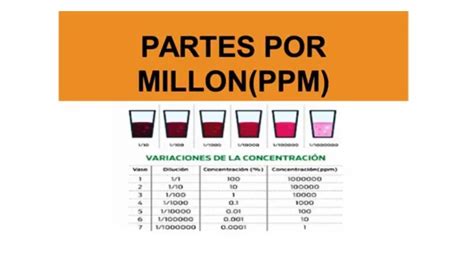 Gu A Completa Para El C Lculo De Ppm Aprende A Medir Sin Complicaciones