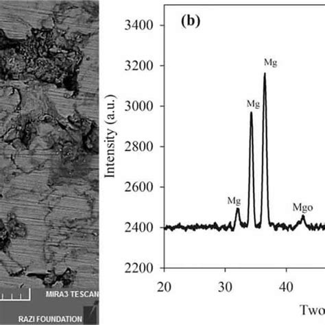 A SEM And B XRD Spectra Of The Mg2 Wt Zn Sintered Scaffold