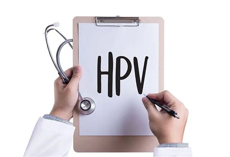 Human Papillomavirus Hpv In Pregnancy Signs Diagnosis And Treatment