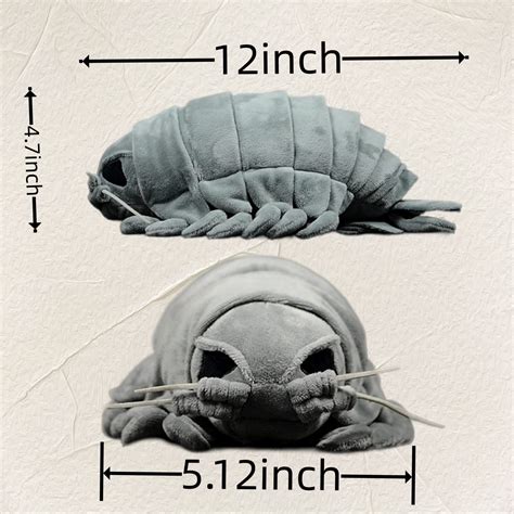 Giant Isopod Pet