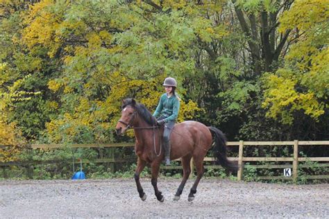 Riding School Lucy Postgate