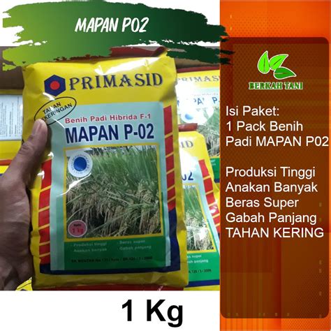 Jual Mapan P02 Mapan P 02 Benih Padi Hibrida Kemasan 1 Kg Original