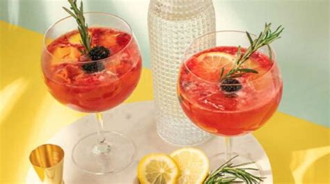 Gin Tonic De Frutos Rojos Deliciosa Bebida Para Los D As De Calor