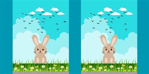 Spot The Difference A Rabbits Challenge Can You Spot The 4