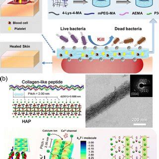 Schematic Presentation Of Biomimetic Peptides For Various Applications