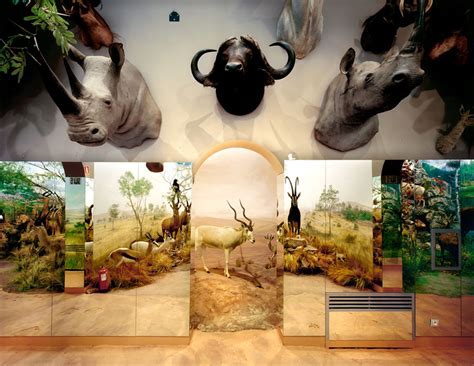 13_Bonar – urbanNext