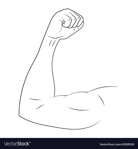 Arm biceps sketch Royalty Free Vector Image - VectorStock