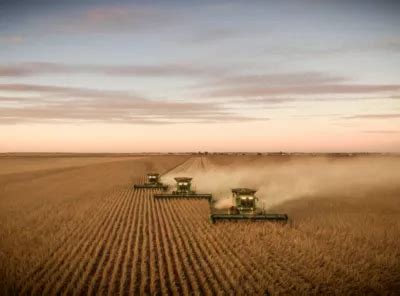 Best Practices For Corn Silage Production