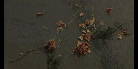 Amwf Irina Griga Russian Girl Red Head Nude Model Big Areola Tits Lived Together And Interracial