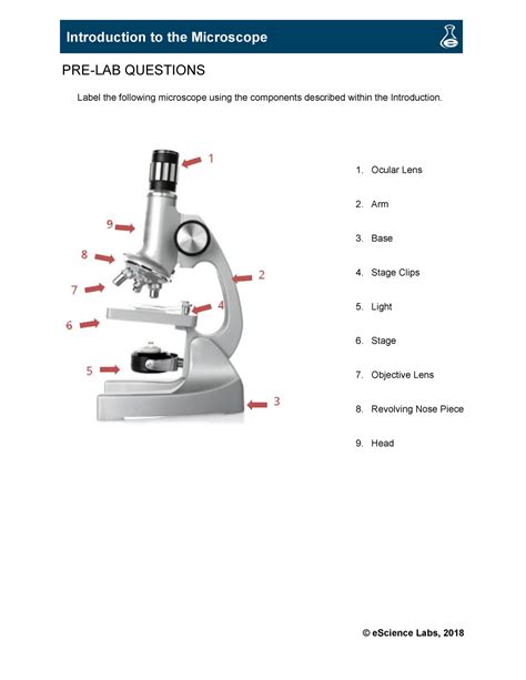 Introduction To The Microscope PRE LAB QUESTIONS Label The Following