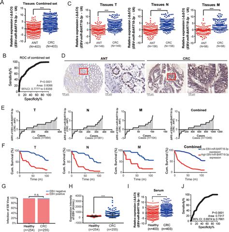 Ebvmirbart P Expression Is Significantly Associated With Crc