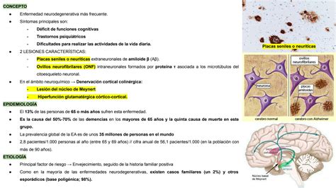 SOLUTION Enfermedades Neurol Gicas Studypool