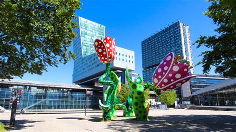 A Lille les Tulipes de Shangri La se refont une beauté Le Bonbon