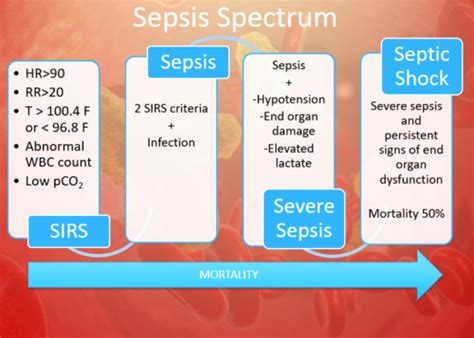 Sepsis Flashcards Quizlet