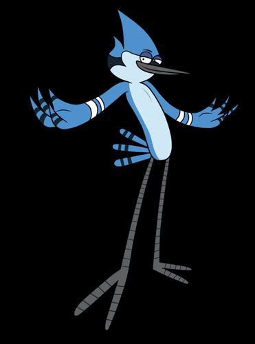 Mordecai And The Rigbys T Shirt Regular Show Photo 30622626 Fanpop